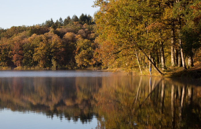 Corrèze en Automne