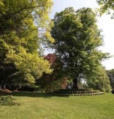 Visite commentée du Parc Arboretum Château de Neuvic d'Ussel_1