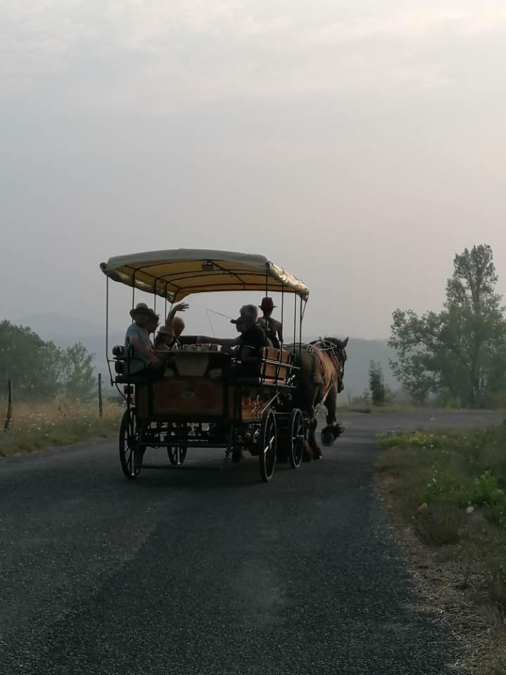 Calèche dans la brume_4