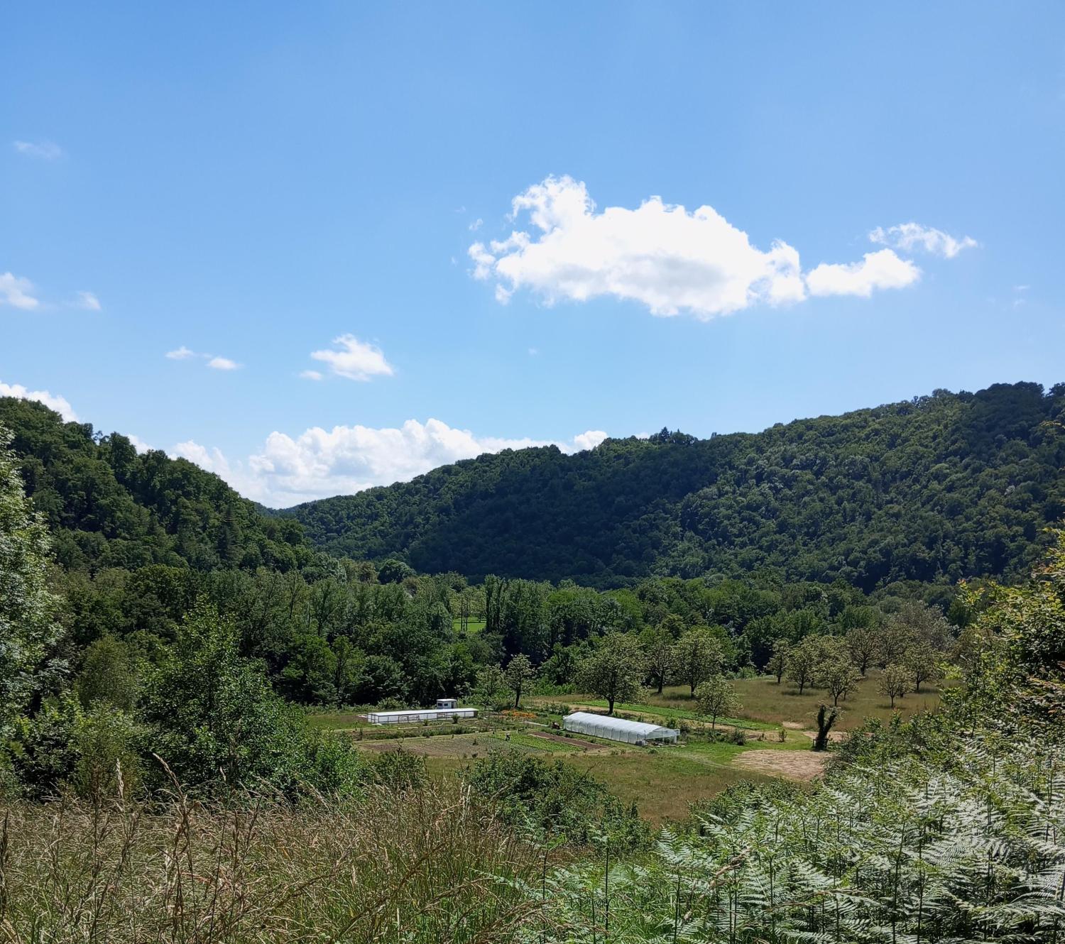 Le jardin des Lucioles vue d'en haut _1