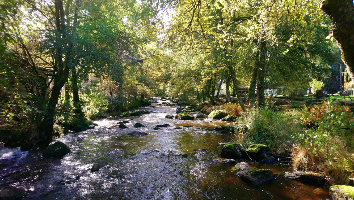 RIVIERE "la petite vézère"