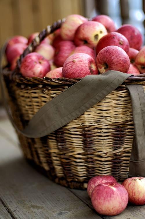 Fête de la pomme et du boudin_1