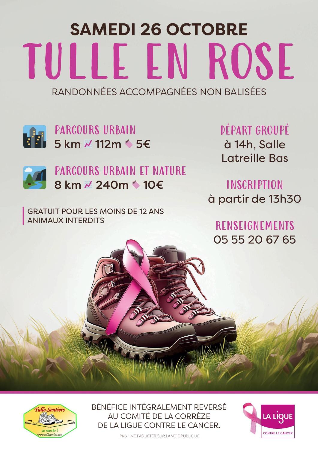 affiche tulle en rose-page-001