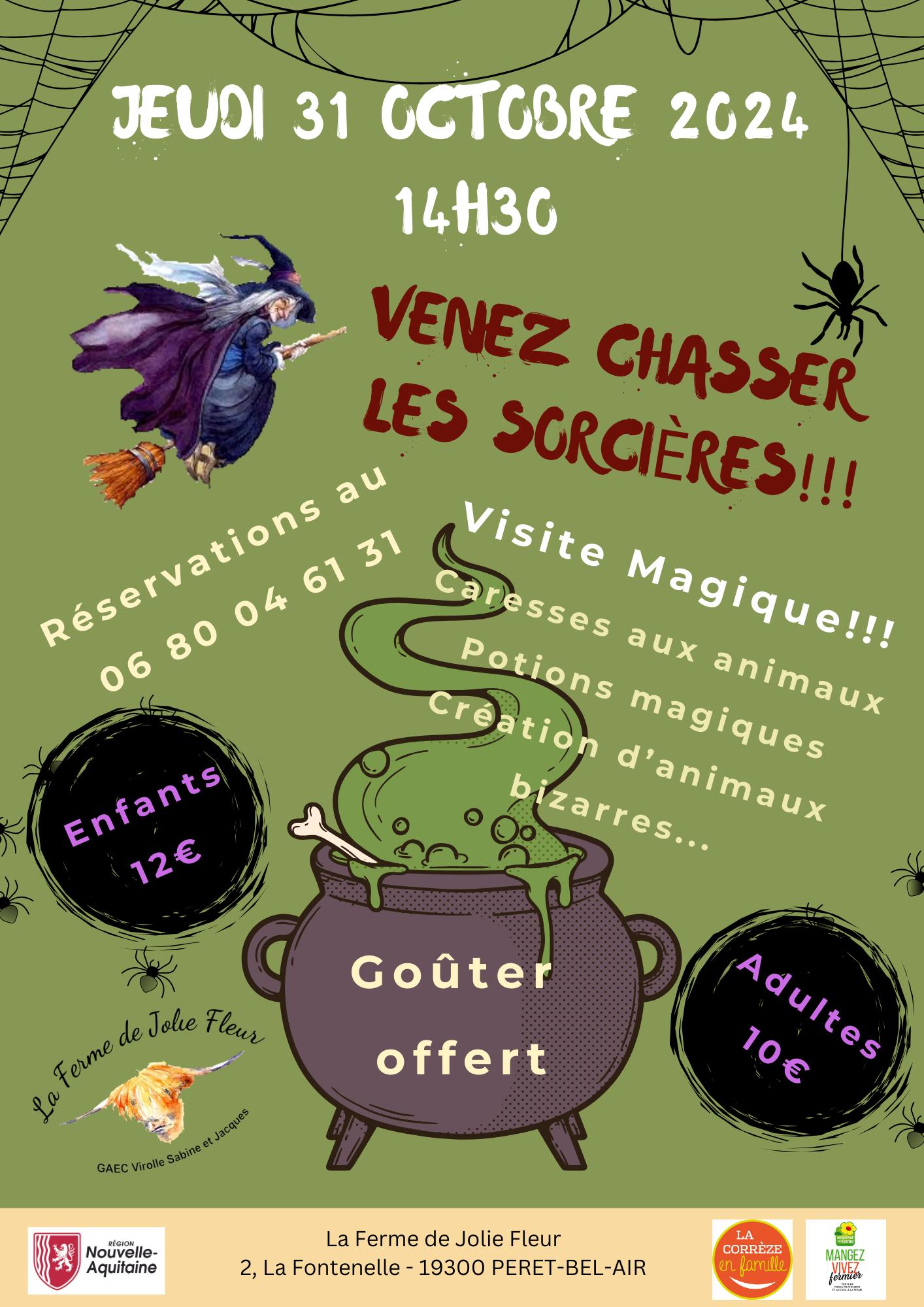 Chasse aux sorcières