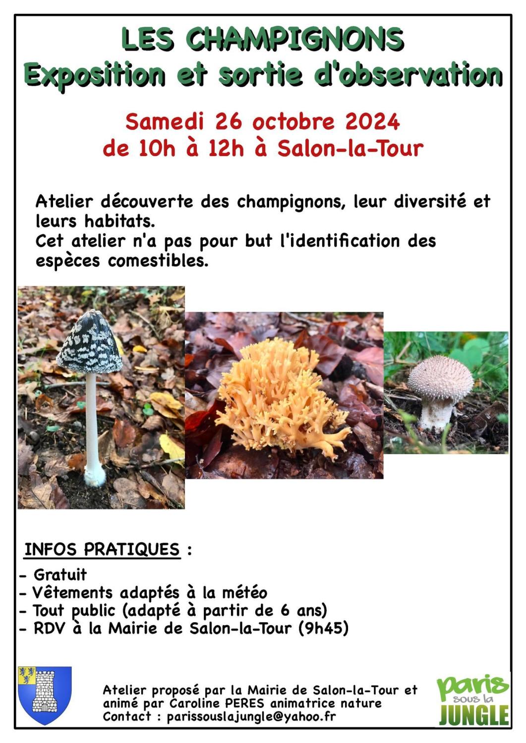 salon champignons 261024