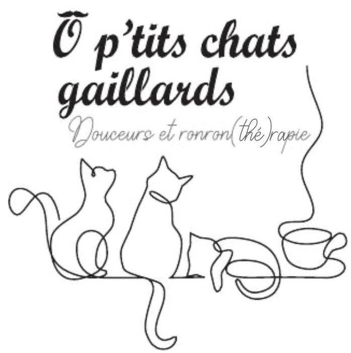 logo Op'tit chat gaillard