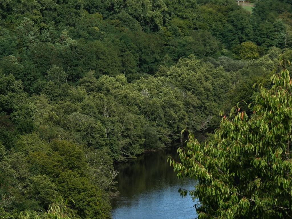 La Vézère et sa vallée