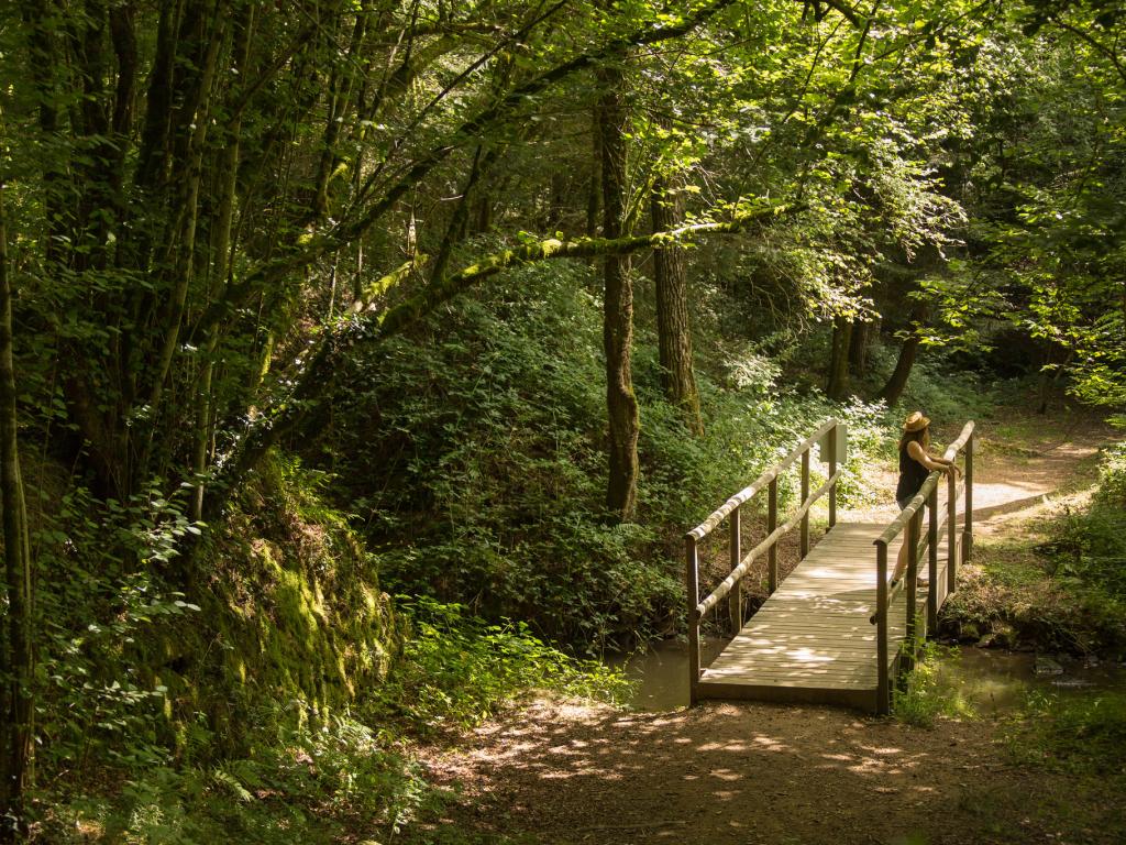 Le marais du Brezou