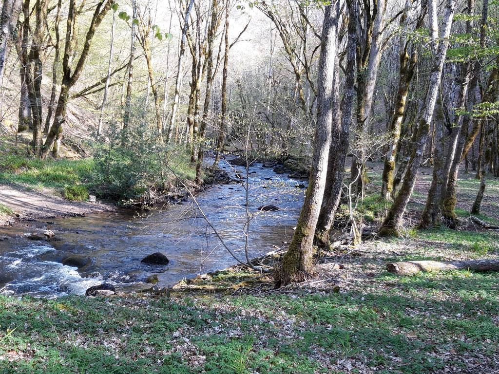 Sentier des charbonniers