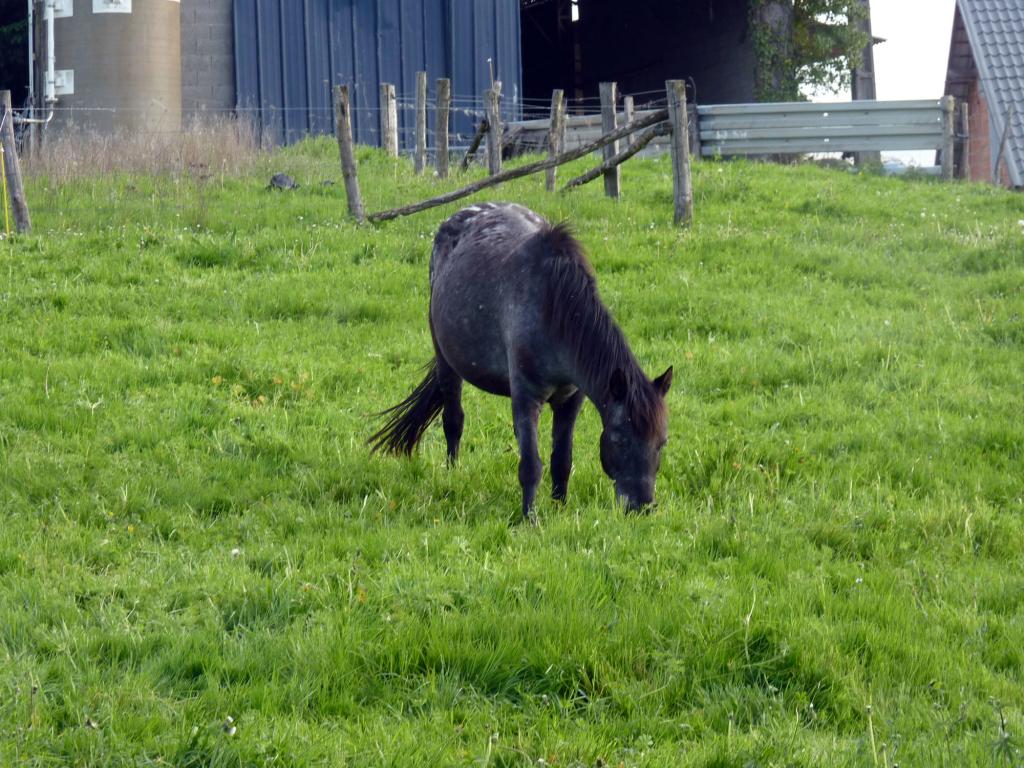 Ferme de Brossard