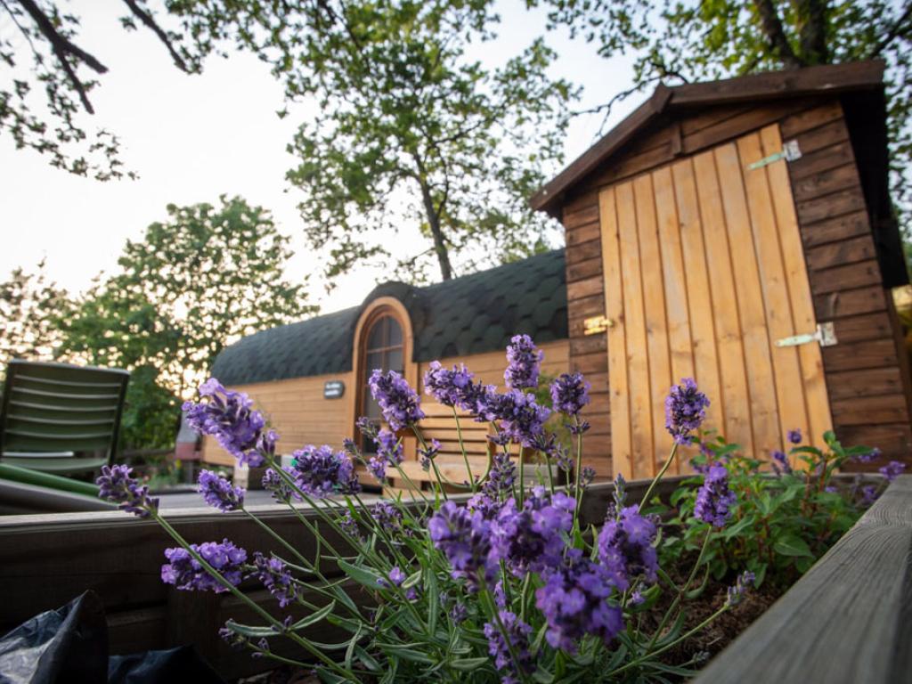 Les cabanes au bord du monde - La Cabane inattendue