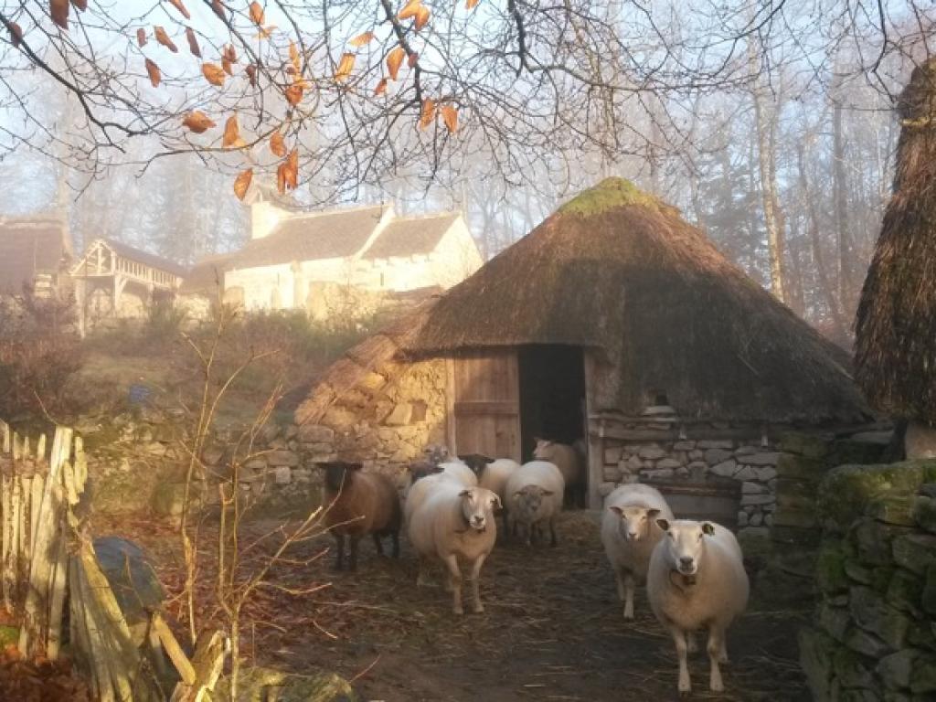 Les fermes du Moyen-Âge