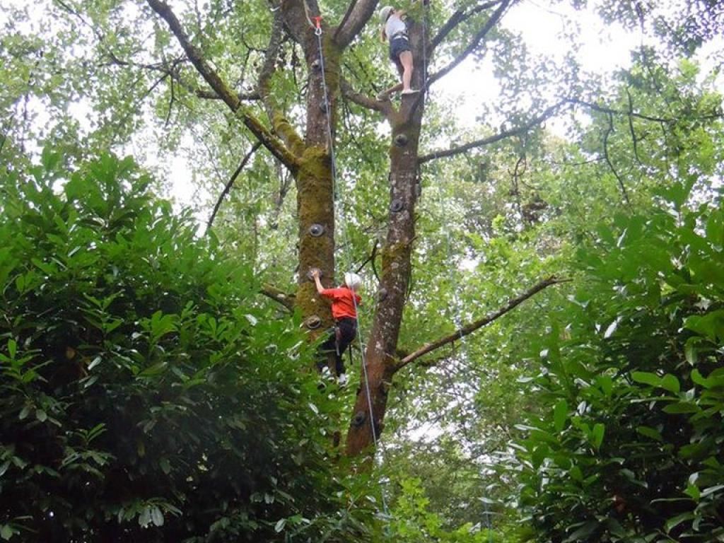 Escalad'arbre Escapade Nature Pays d'Argentat