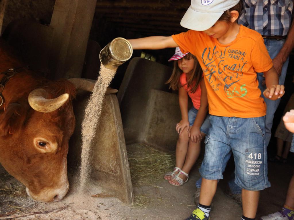 Ferme de Champtiaux