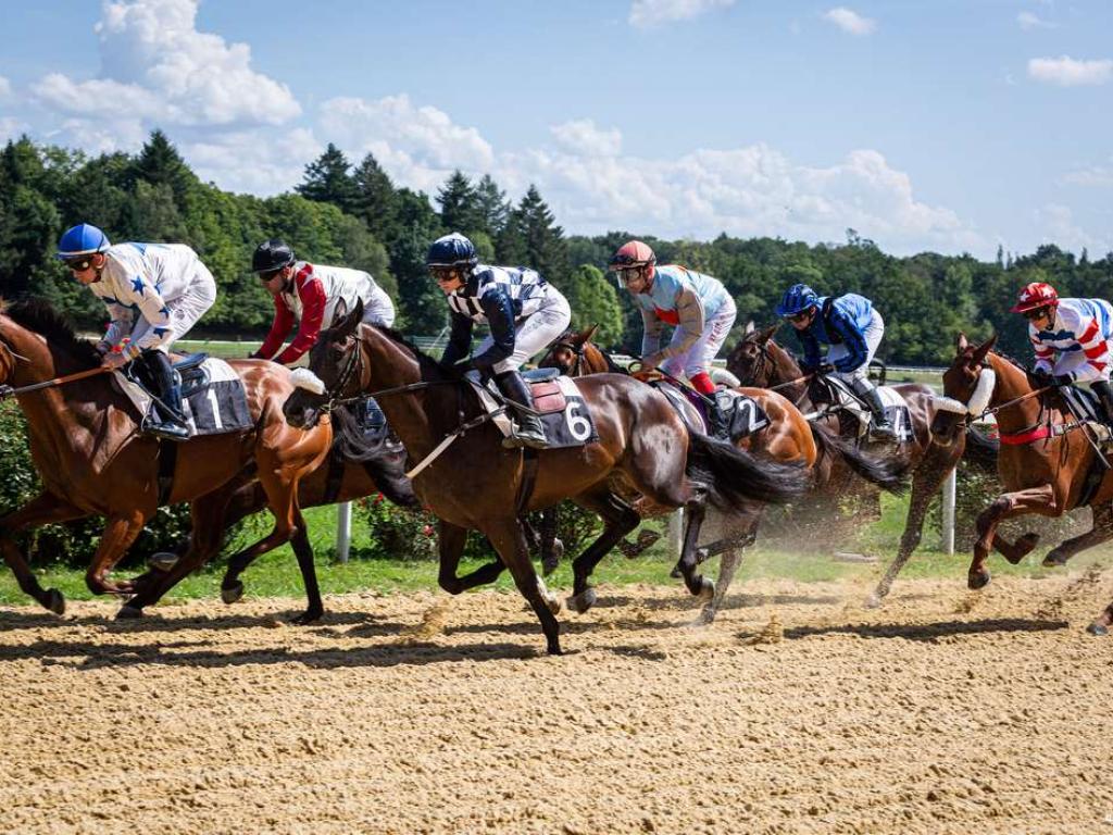 Fête du Cheval