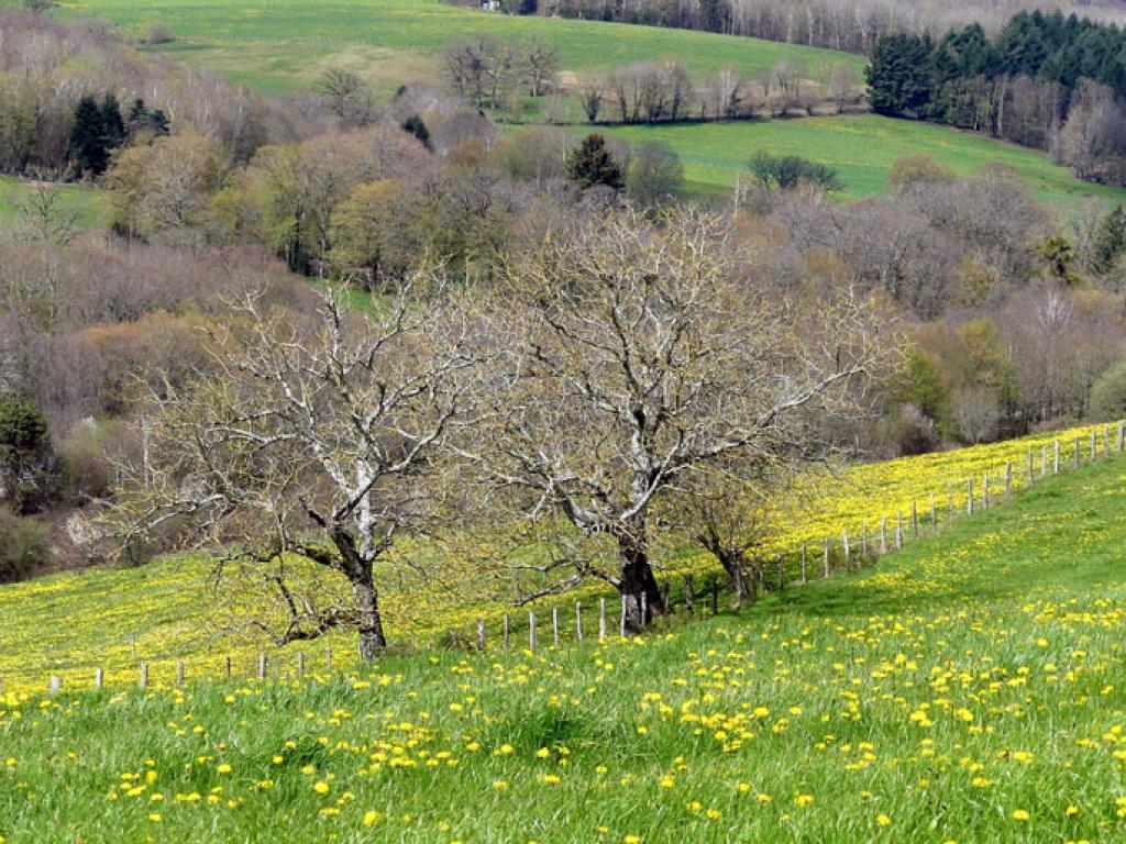 De Bialet aux deux viaducs