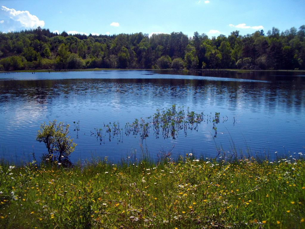 Chemin du sommet des Agriers