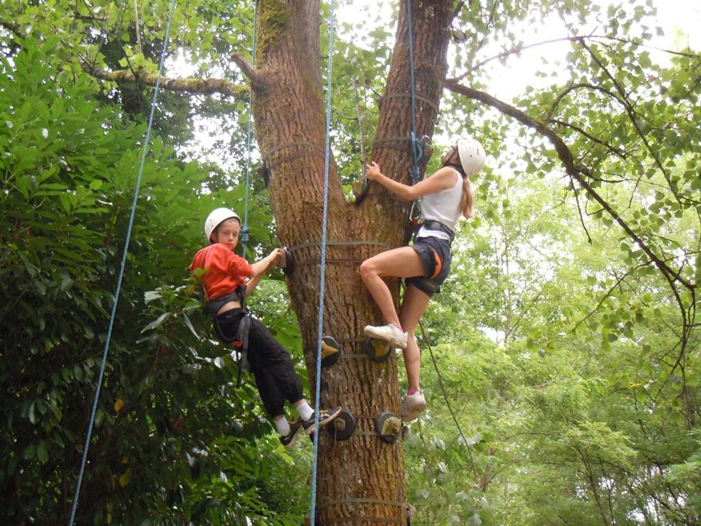 Escalad'arbre Escapade Nature Pays d'Argentat