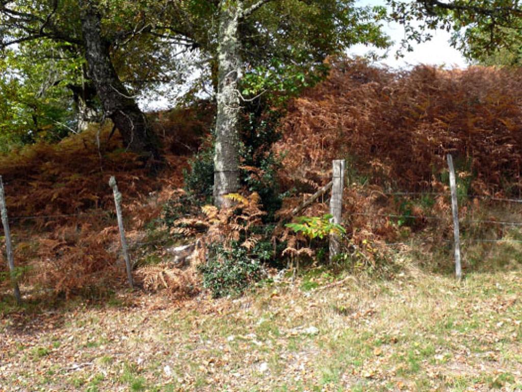 Le toit du Limousin (variante de 17km)