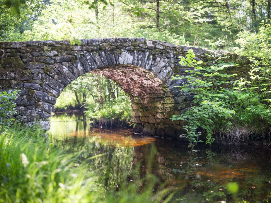 Pont de Varieras