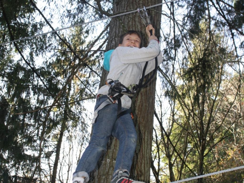 Parcours dans les arbres de la Bitarelle