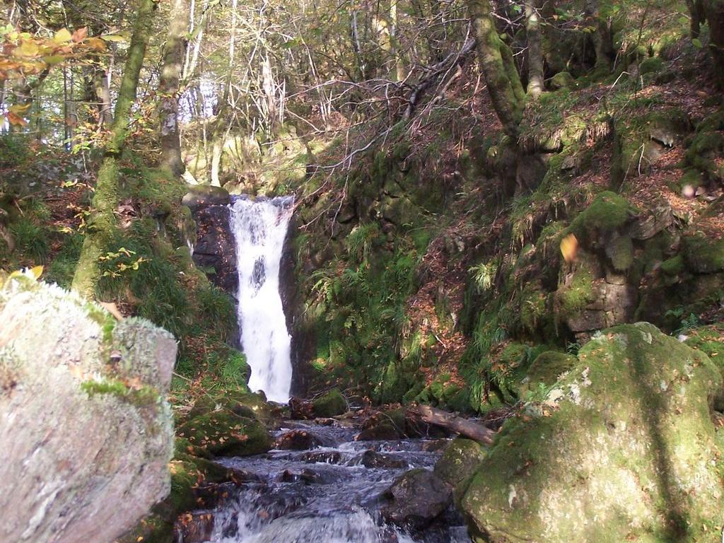 Cascade de la Tine