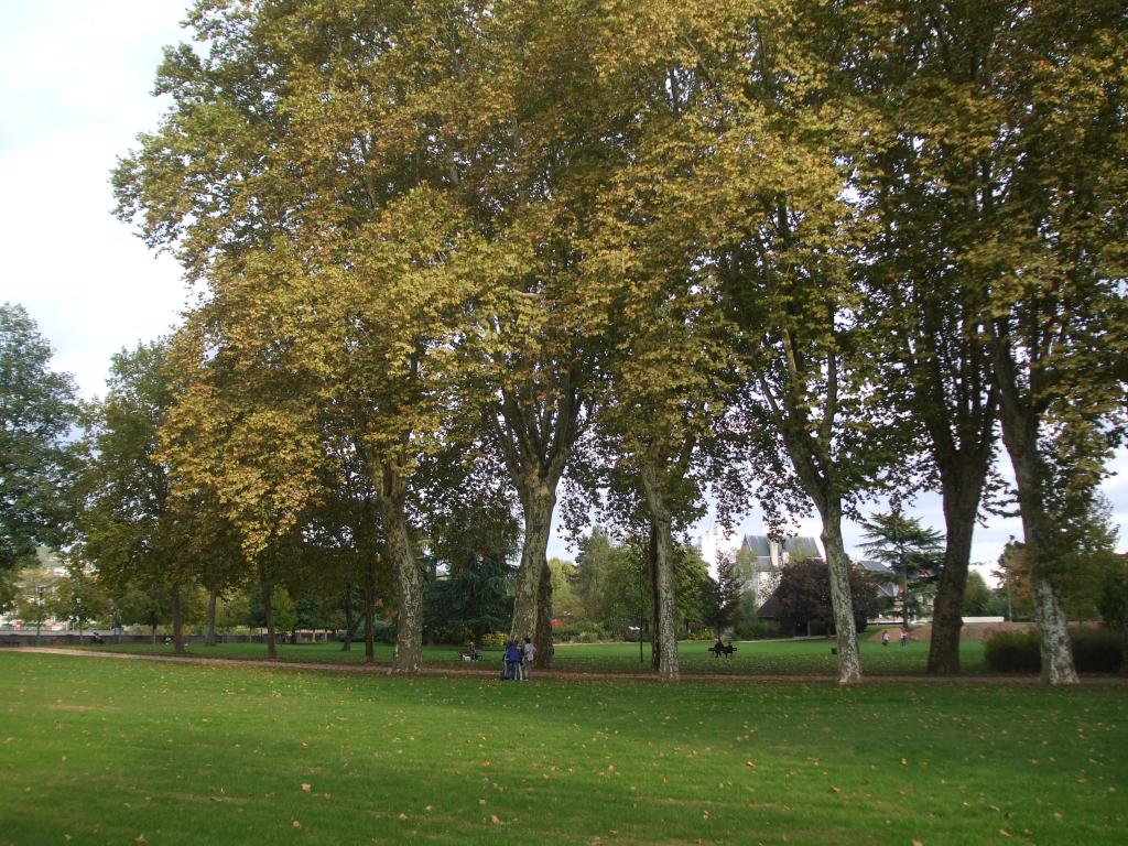 Jardin public de la Guierle