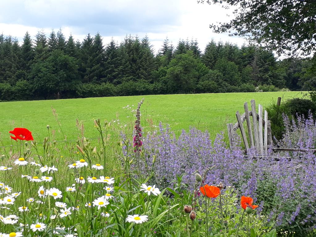 Le Jardin d'Arsac