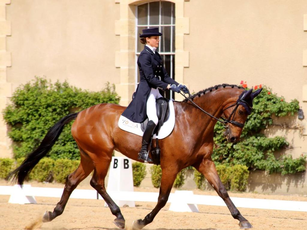 Concours de dressage