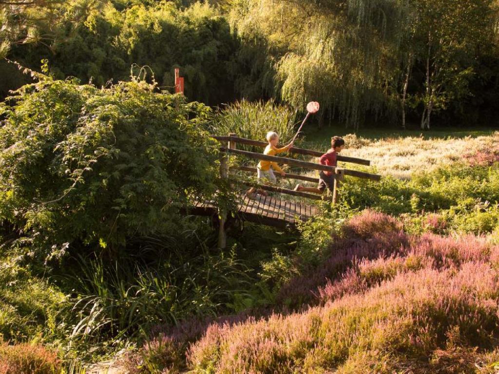 Parc arboretum de Chamberet