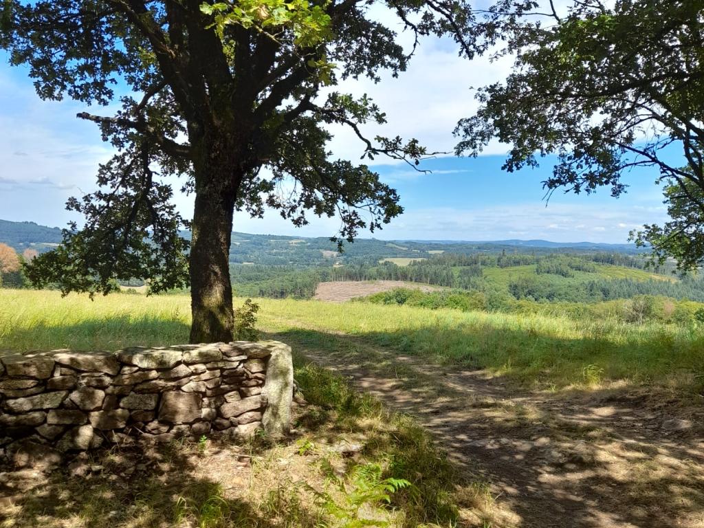 Le Puy du Mas