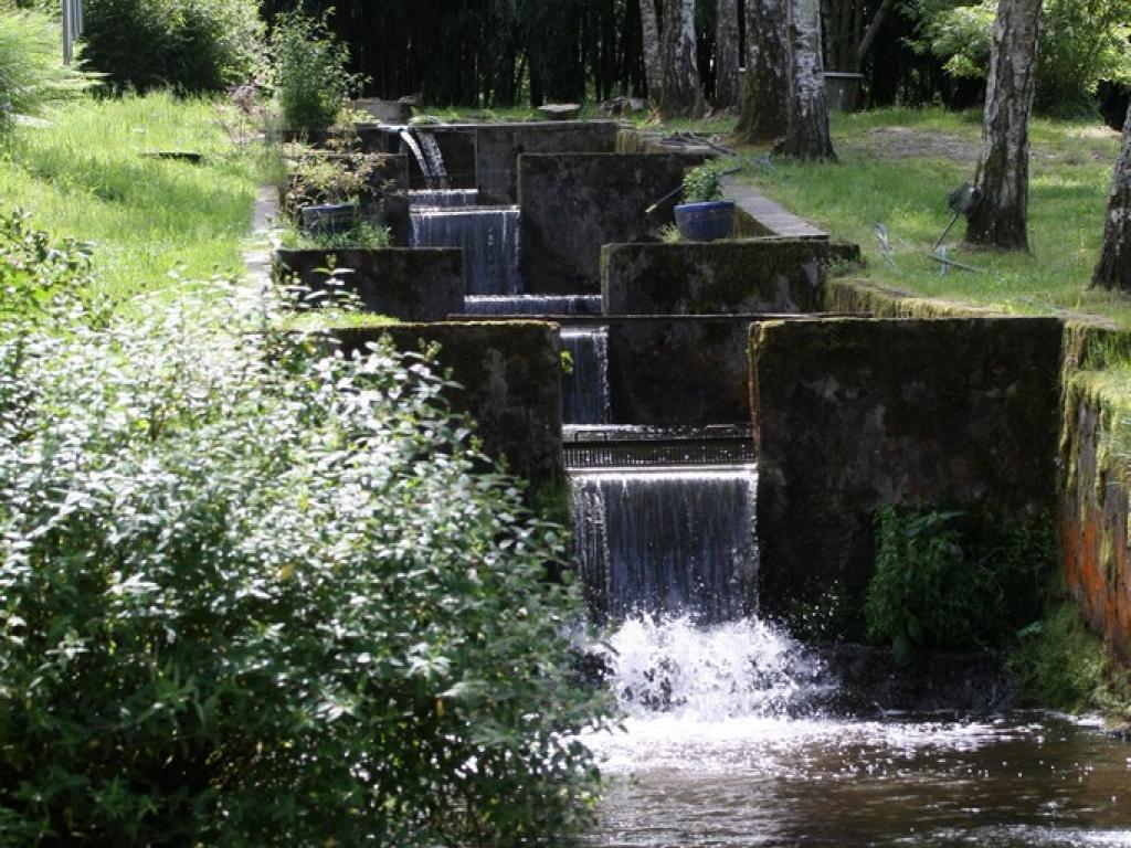 Pisciculture du Moulin de Lagier