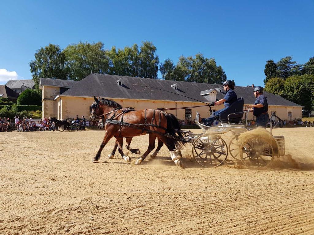 Fête du Cheval