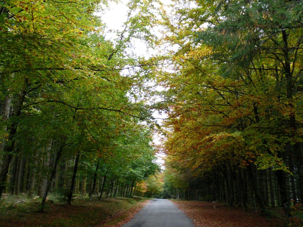 Le toit du Limousin (variante de 17km)