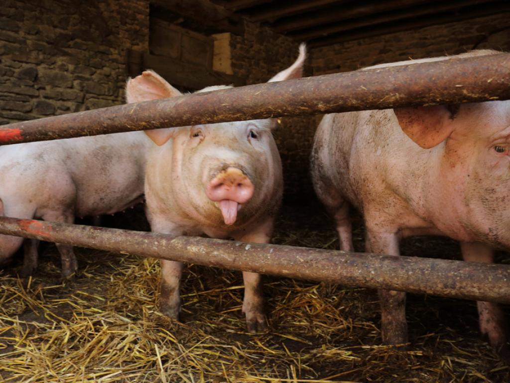 Ferme de Champtiaux