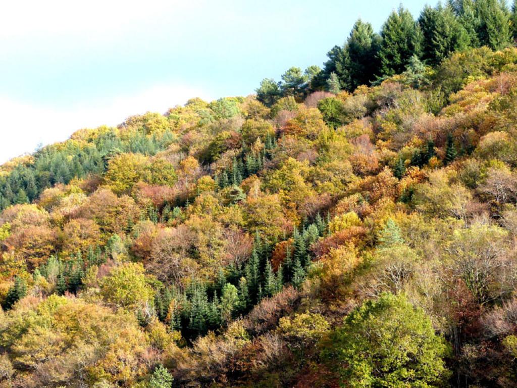 Des vergers aux berges de la Corrèze