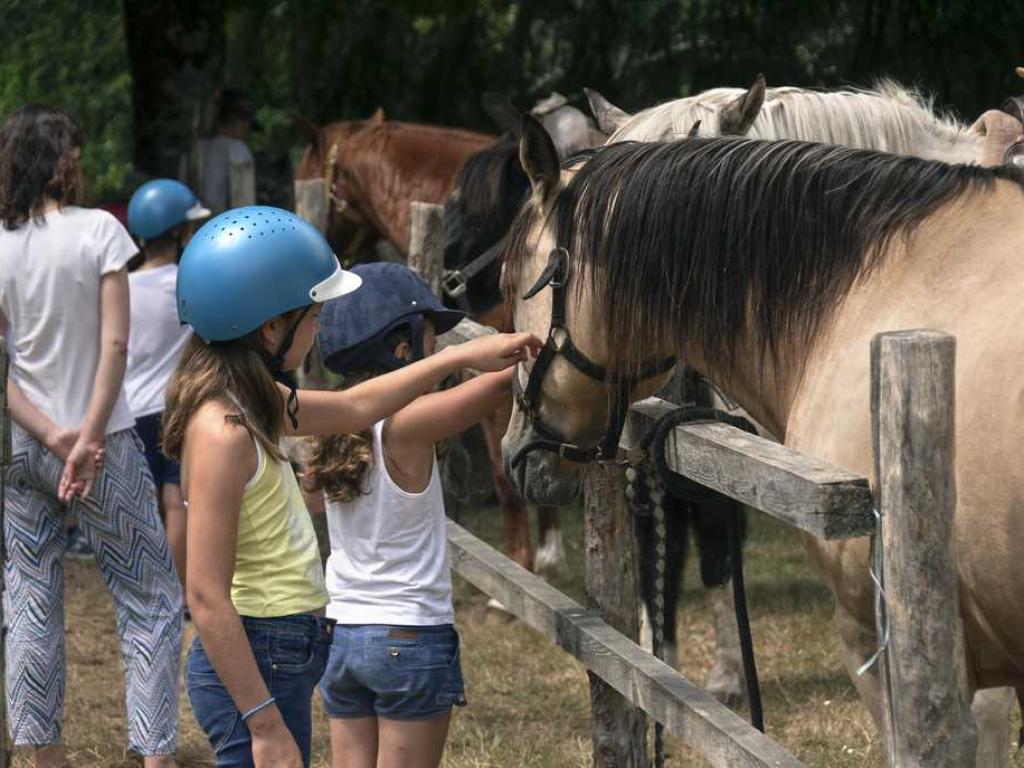 Ranch de Lauzerat