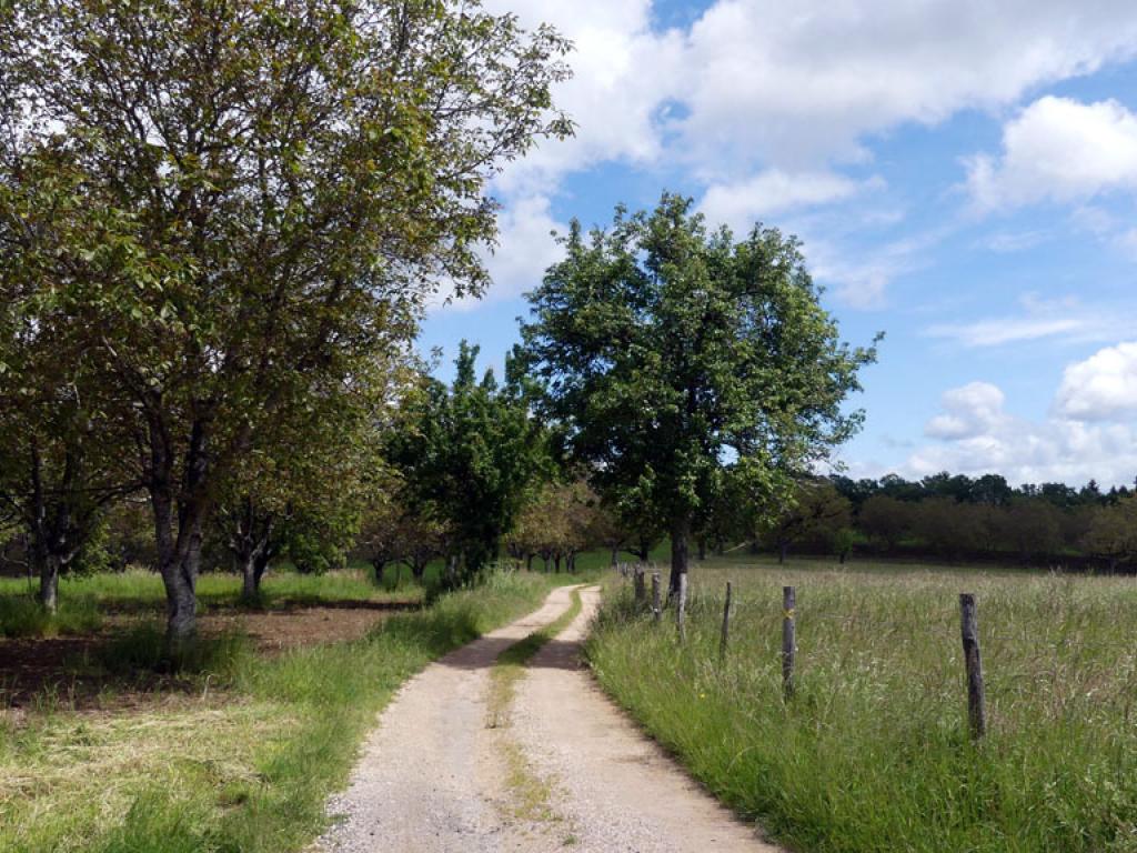 Du château au moulin