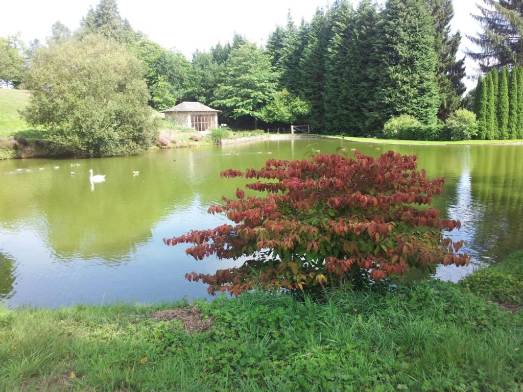 Pique-nique à l'Arboretum du Château de Neuvic d'Ussel