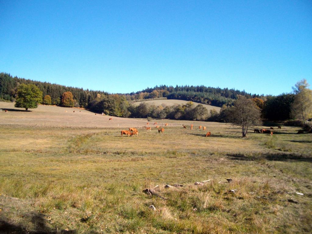 Les Templiers - Version 9 km