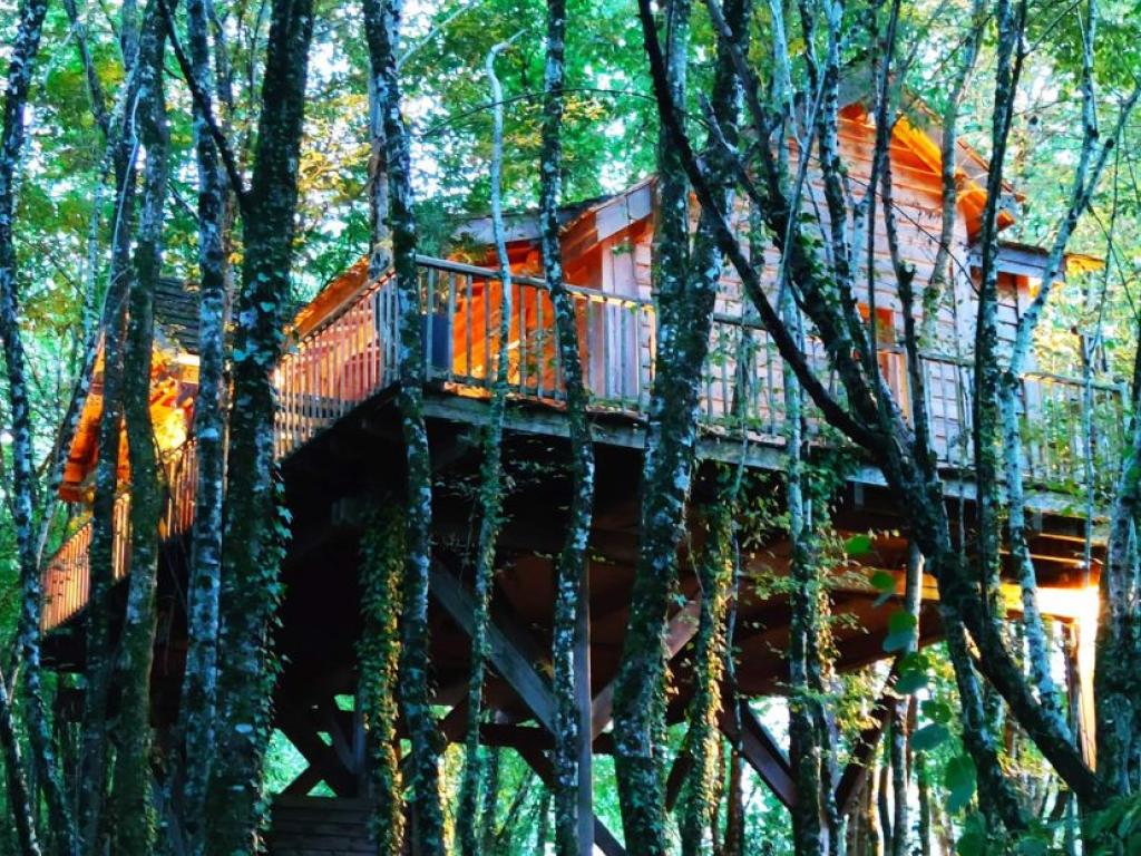 Cyprès si haut  cabane et Spa