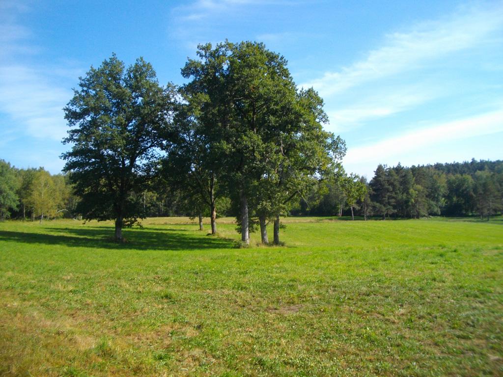 Au coeur du pays vert