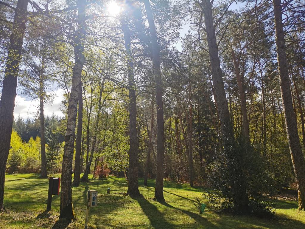 Camping les sapins de Corrèze