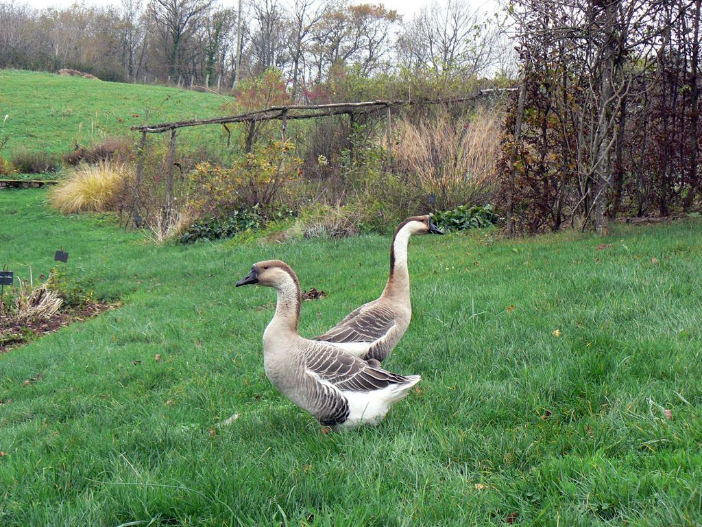 La Ferme de Beyssin