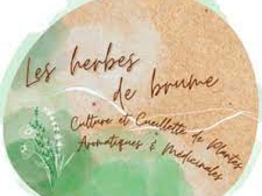 Les Herbes de Brume