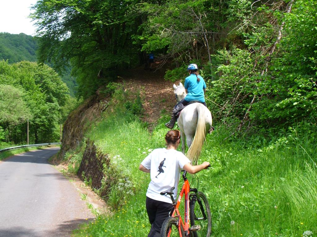 Randonnée en plateau Bortois