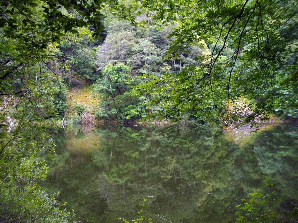 Sentier des gorges