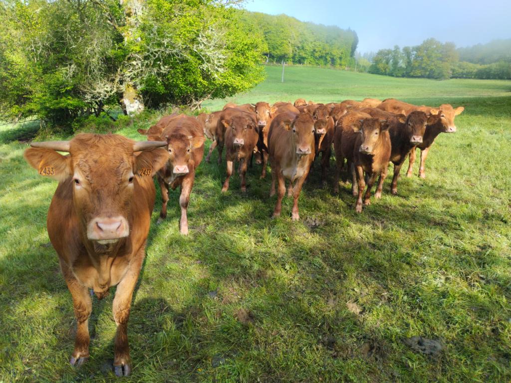 Ferme Pédagogique du Grand Chène