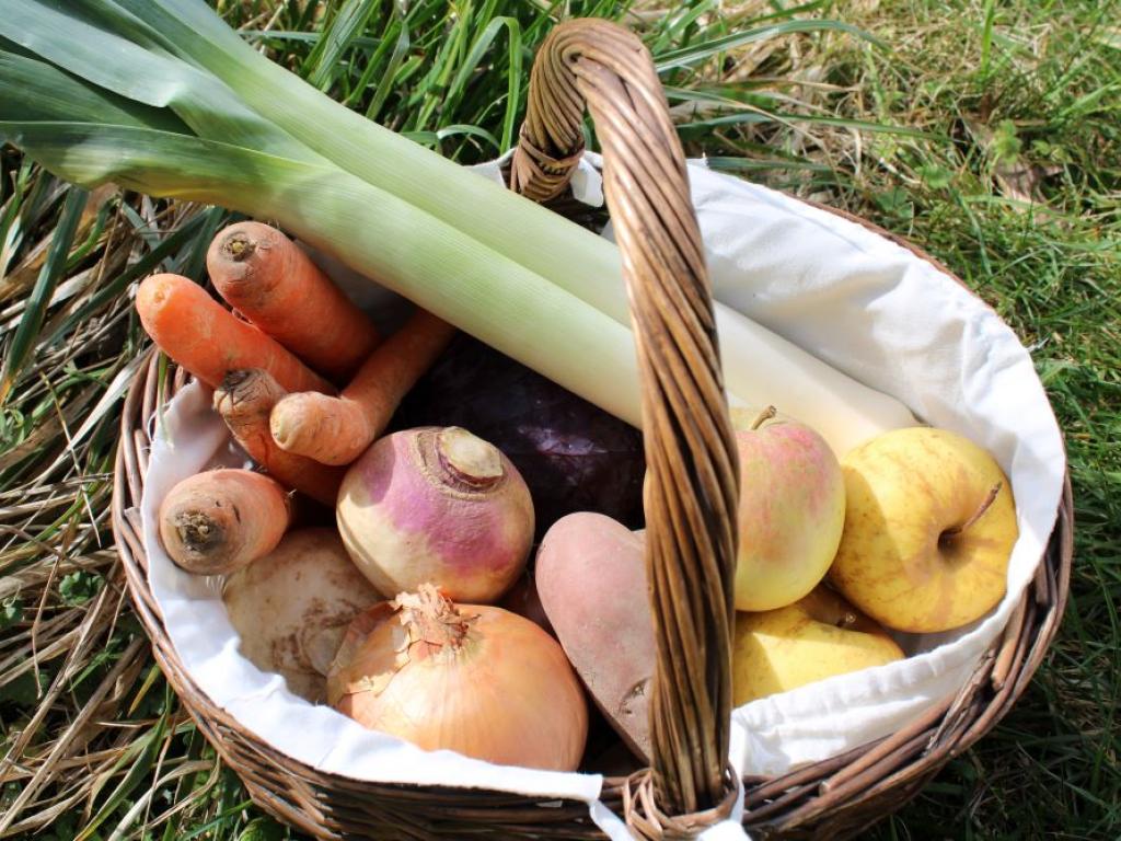 Les saveurs médiévales au château de Ventadour