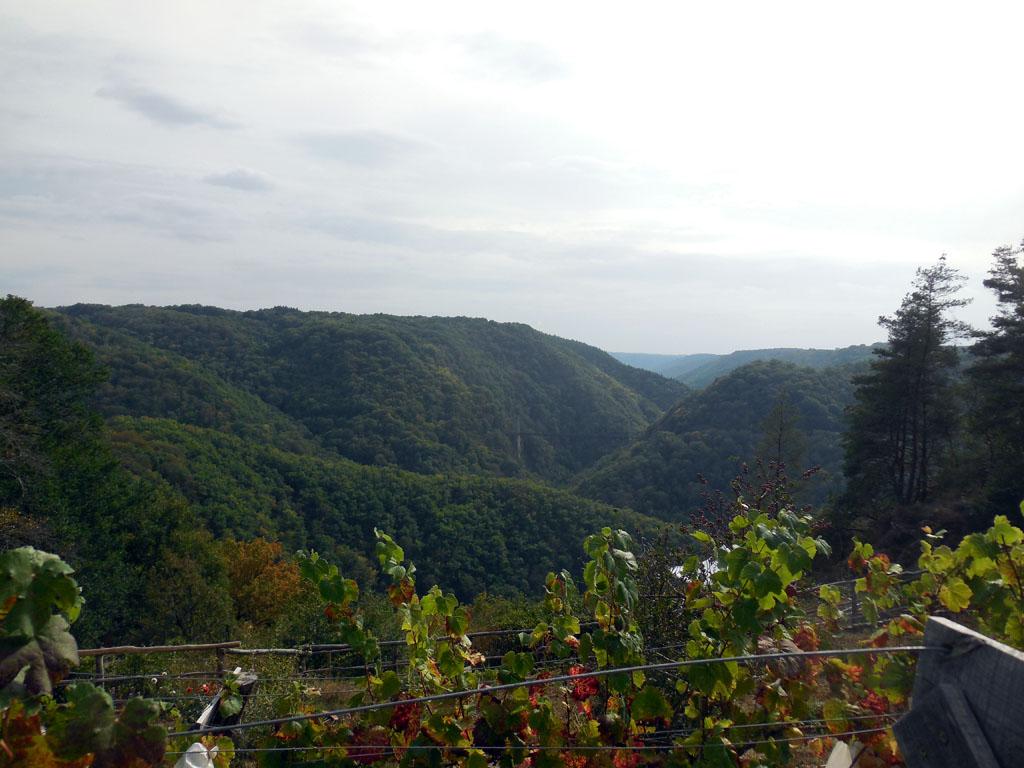 Du Pont-Aubert aux Rochers Noirs